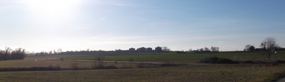 Grüne Oase zwischen Bierstadt, Erbenheim und Igstadt. Im Hintergrund zu sehen, die Hochhäuser von Erbenheim.