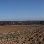 Panorma-Blick auf Bierstadt