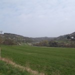 Blick Richtung Kastanienwäldchen