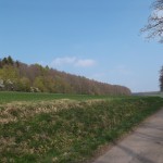 Das erste Mal in Sichtweite des Waldes