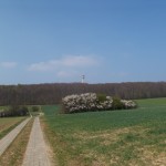 Ein kurzer Blick über die Schulter