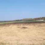 Versengte Brachfläche