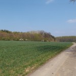 Immer am Wald entlang