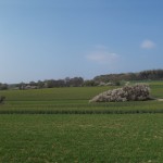 Ein Blick zurück. an diesen Wiesen und Feldern kam ich vorbei