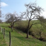 Ein Blick zurück zur Quelle