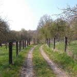 Verschlungene Pfade führen weiter