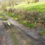 Ein kleiner Wasserlauf am Wegesrand