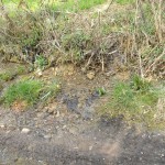 Das Wasser stammt aus einer Quelle, einige Meter höher