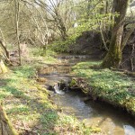 Die Niagara Fälle im Kleinformat