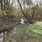 Versteckter Ritzer Bach