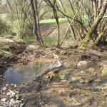 Da geht es runter für den Ritzer Bach