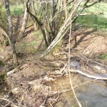 Panorama eines wundersamen Ortes