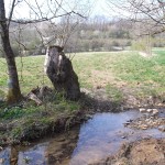 Ein zweiter Geheimer Ort