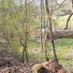 Der kleine Ritzerbach hinter kahlen Bäumen