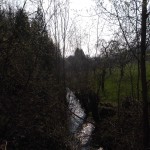 Blick von einer kleinen Brücke auf den Ritzer Bach