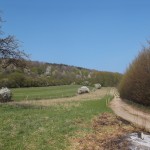 Der Weg zum Kastanienwäldchen