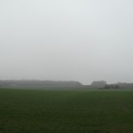 Waldrand im Panorama
