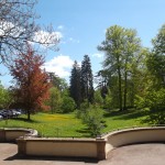 Blick über den Neropark