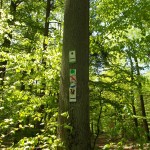 Mehr Schilder als im Straßenverkehr!