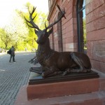 Hirsch vor dem Jagdschloss Platte
