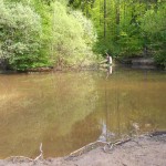Ein kleiner Teich im Wald