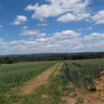 Blick Richtung Bierstadt und Igstadt
