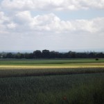 Hochhaussiedlung bei Erbenheim