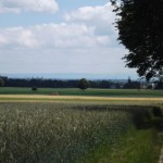 Auf dem Fußgängerweg