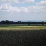 Blick auf meine sonst übliche Strecke