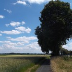 Der Feldweg an der B455