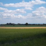 Felder bei Erbenheim