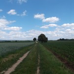 Der Weg Richtung Erbenheim