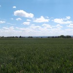 Am Horizont: MainzAm Horizont: Mainz