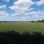 Blick über die Felder