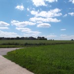 Blick zur Hochhaussiedlung in Erbenheim