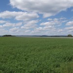 Panorama mit Feldberg