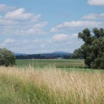 Blick zur alten Ziegelei in Igstadt