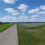 Weg durch die Felder