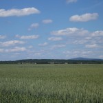 Blick über die Felder bis zum Feldberg im Taunus