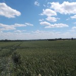 Blick über die Felder