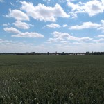 Blick zurück zu einem der Höfe