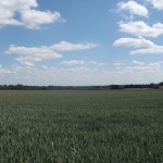 Ein letztes Panorama auf dem Weg nach Hause