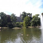 Weiher am warmen Damm