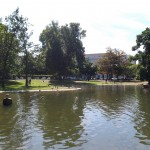 Weiher im Park am warmen Damm