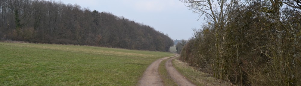 Langsam wirds wärmer