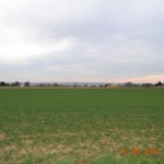 Blick Richtung Mainz