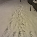 Fußspuren im Schnee auf der Bierstadter Höhe