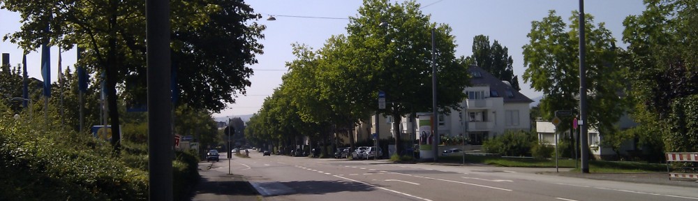 Bäume an der Bierstadter Höhe