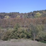 Das "Kastanienwäldchen" im Herbstkleid