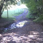 Endlich da! - Der kleine Bach